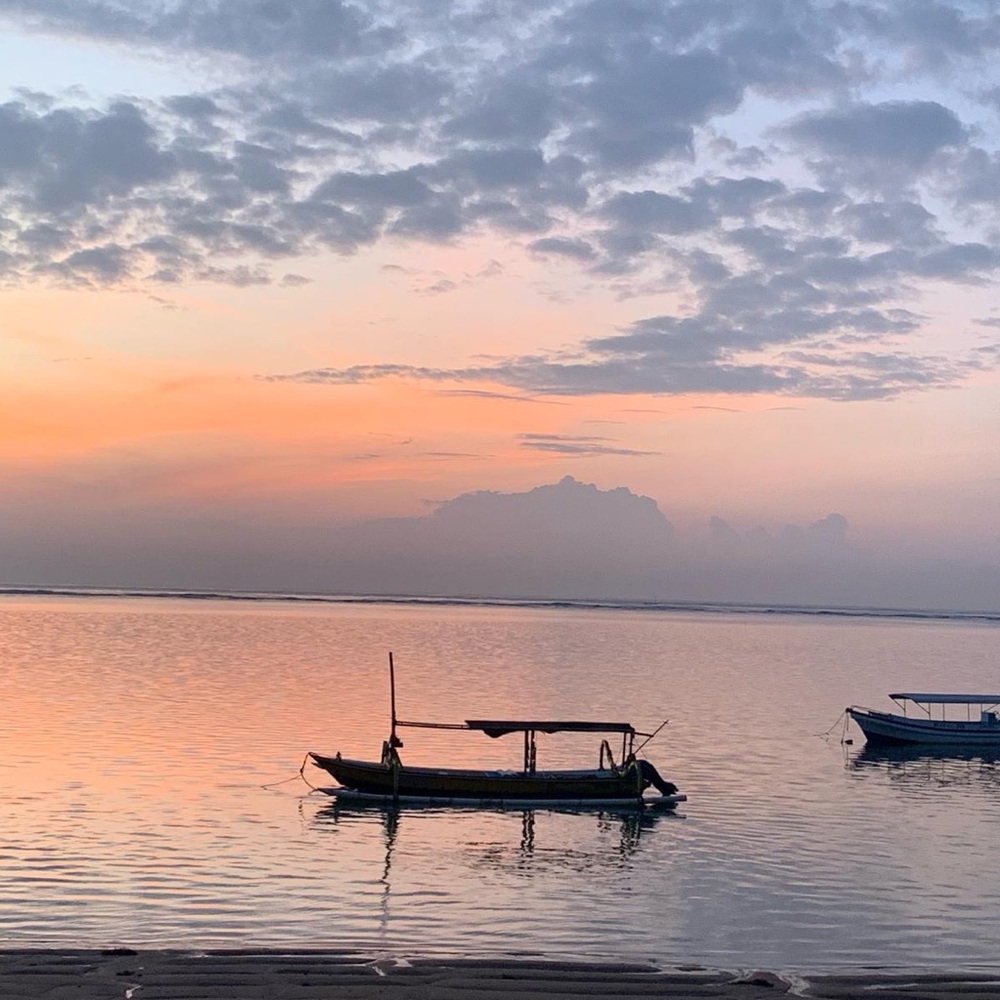 Meet your Posher, Cynthia